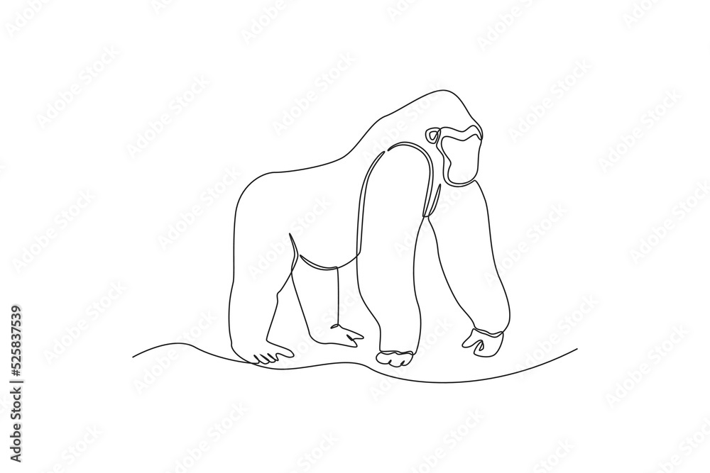 Obraz premium One continuous line drawing of a gorilla. Animal concept. Single line draw design vector graphic illustration.