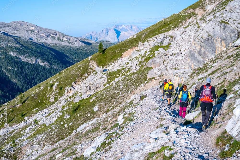 Fototapeta premium Group of hikers ascending the mountain in Dolomites