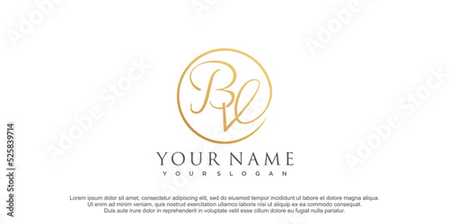 Initial b and v logo illustration with abstrac design photo