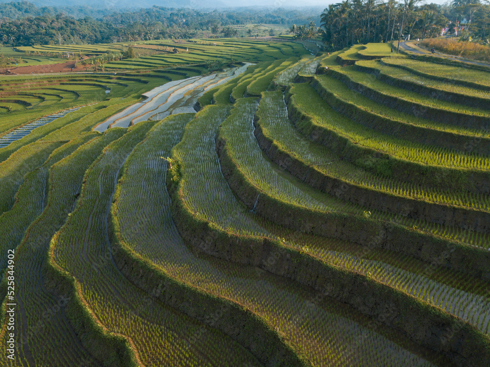 Rural view of beautiful Asian terraced rice field in the morning. Spectacular rice fields.