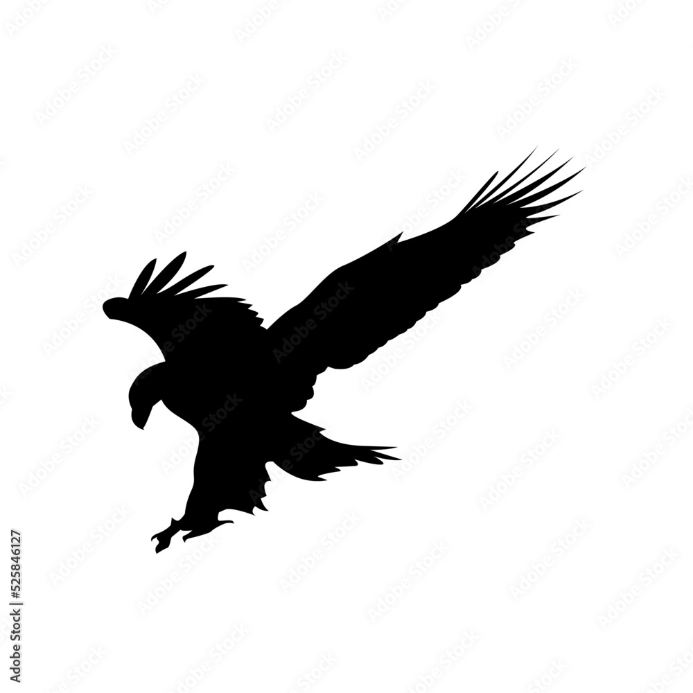 Simple vector illustration of eagle silhouette, flat design of bird of prey, birds. Simple vector illustration of eagle silhouette, flat design of bird of prey, birds.