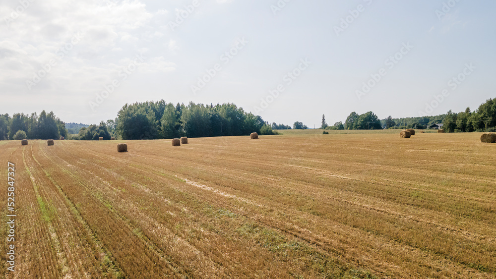 Aerial view of hay bales on the field after harvest. Landscape of straw bales on agricultural field. Countryside landscape.