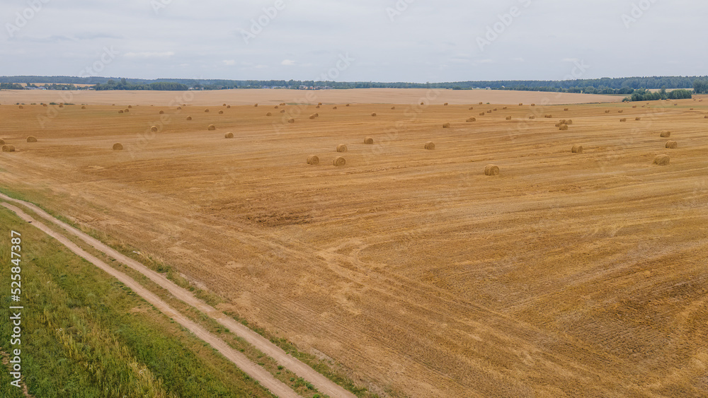 Aerial view of hay bales on the field after harvest. Landscape of straw bales on agricultural field. Countryside landscape.