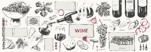Hand drawn wine illustration set