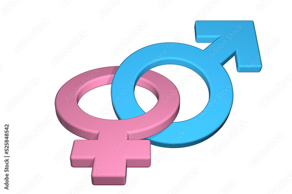 3D rendered male female symbols or signs representing gender choice or uncertainty concep 3D rendered male female symbols or signs representing gender choice or uncertainty concep