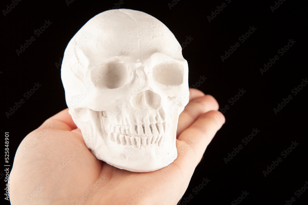 Obraz premium image of skull white background