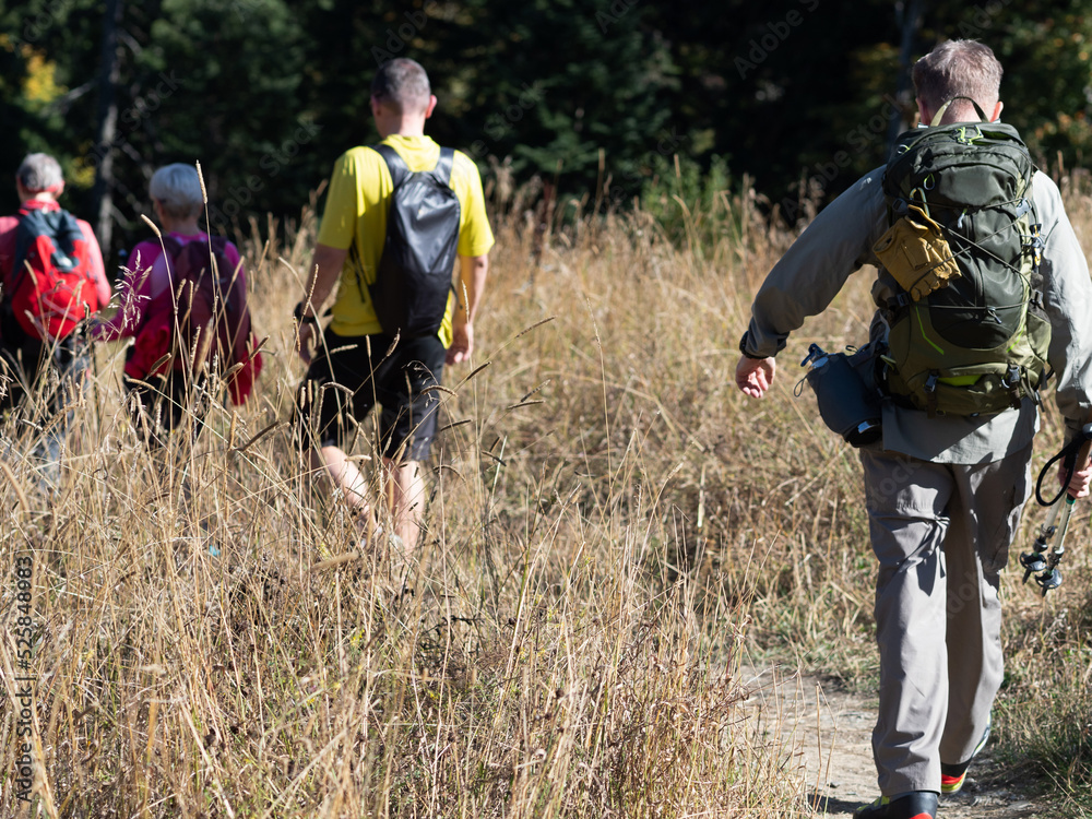 A group of tourists with backpacks is walking along a trail in the mountains, a trail in the tall grass. A group of tourists with backpacks is walking along a trail in the mountains, a trail in the tall grass.
