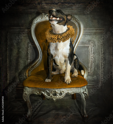 Fancy victorian style dog
