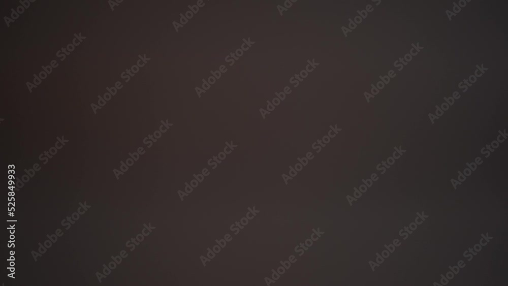 Headshot portrait of Asian woman behind glass with blinders closing. Front view close-up of young female employee standing in office looking at camera hiding Headshot portrait of Asian woman behind glass with blinders closing. Front view close-up of young female employee standing in office looking at camera hiding