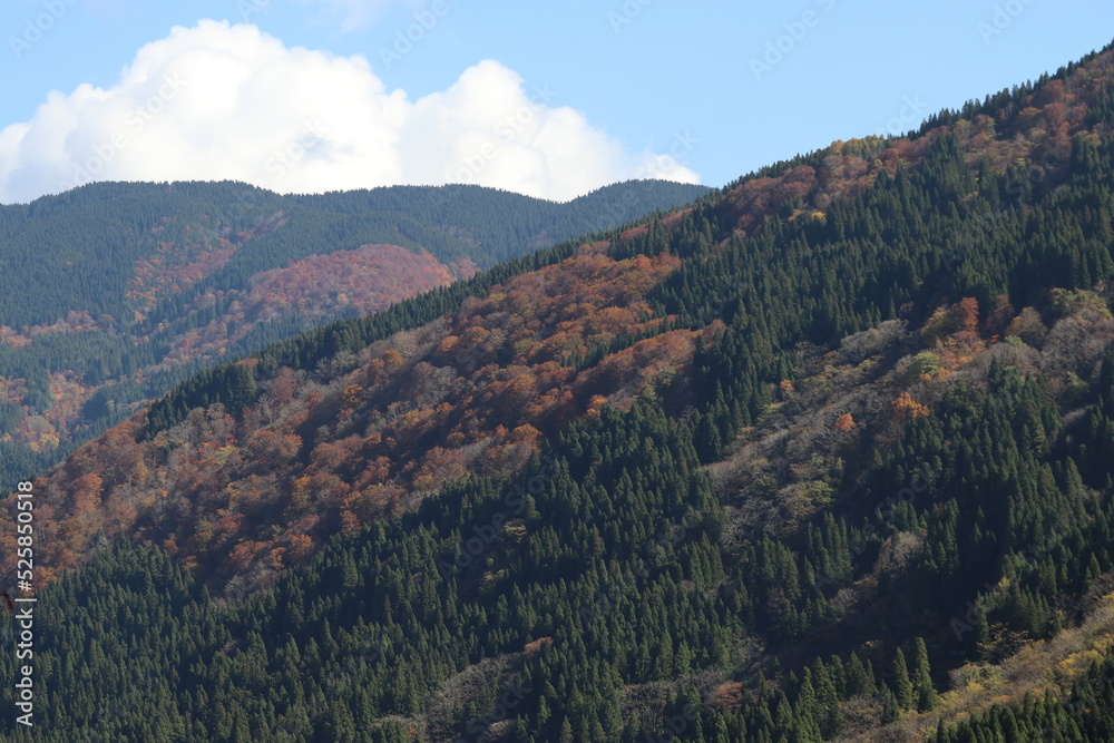 秋の五箇山