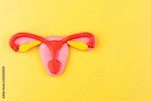 A model of a female uterus on a yellow background. The concept of women's health, cancer of the uterus and reproductive system of women, ovulation, pregnancy. Space for text.