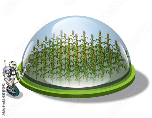 future view of a wheat plantation with a robot taking care 