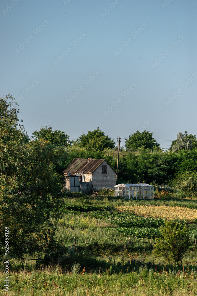 old house in the woods