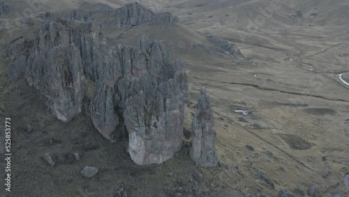 4k Aerial shot for amazon river and the rain forest in brazil rainforest. shot on MAVIC 2 PRO hasselblad rendered prores 422HQ D-log
