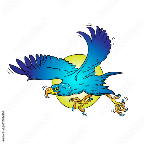 aquila