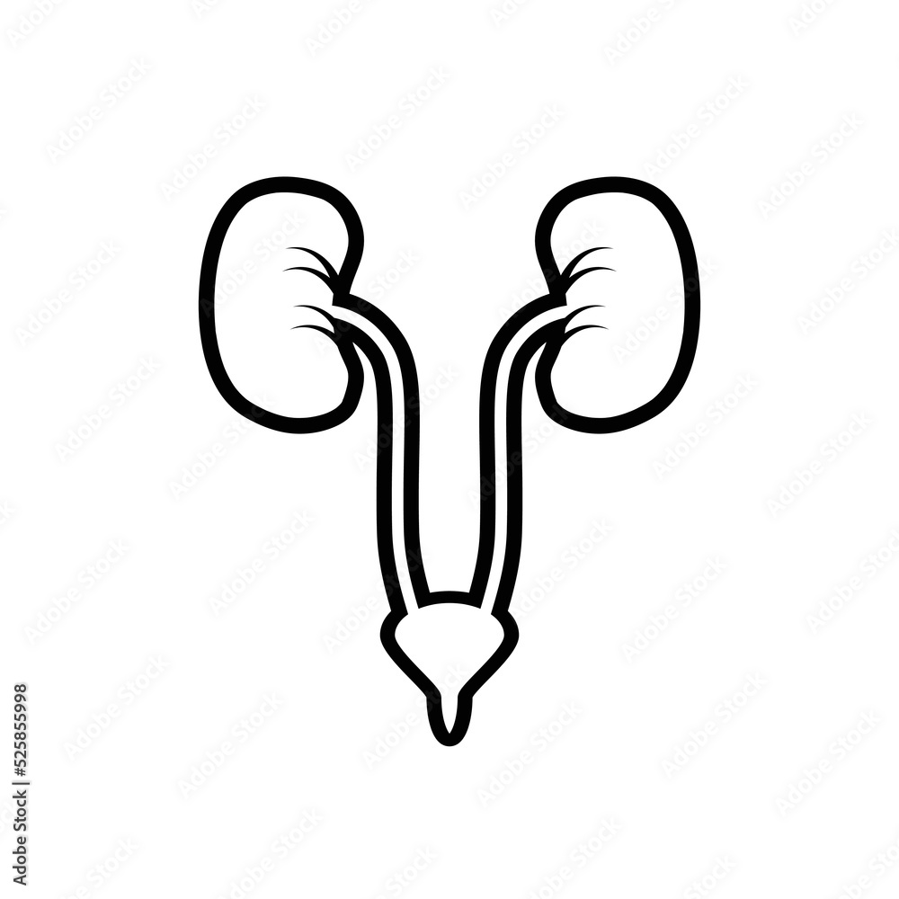 Obraz premium urology design vector flat isolated illustration