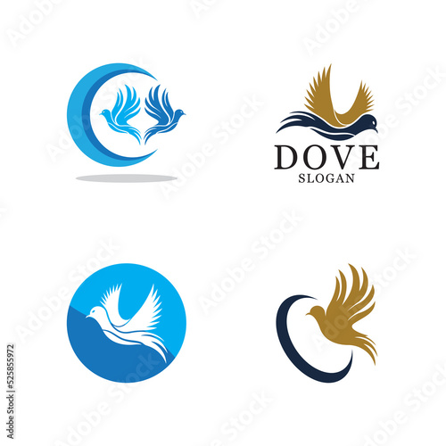 Bird wing dove logo template