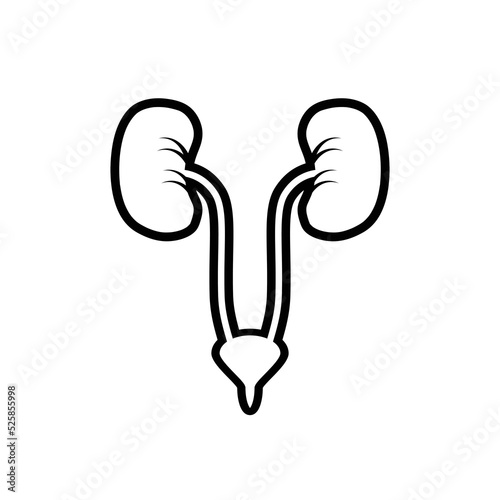 urology design vector flat isolated illustration