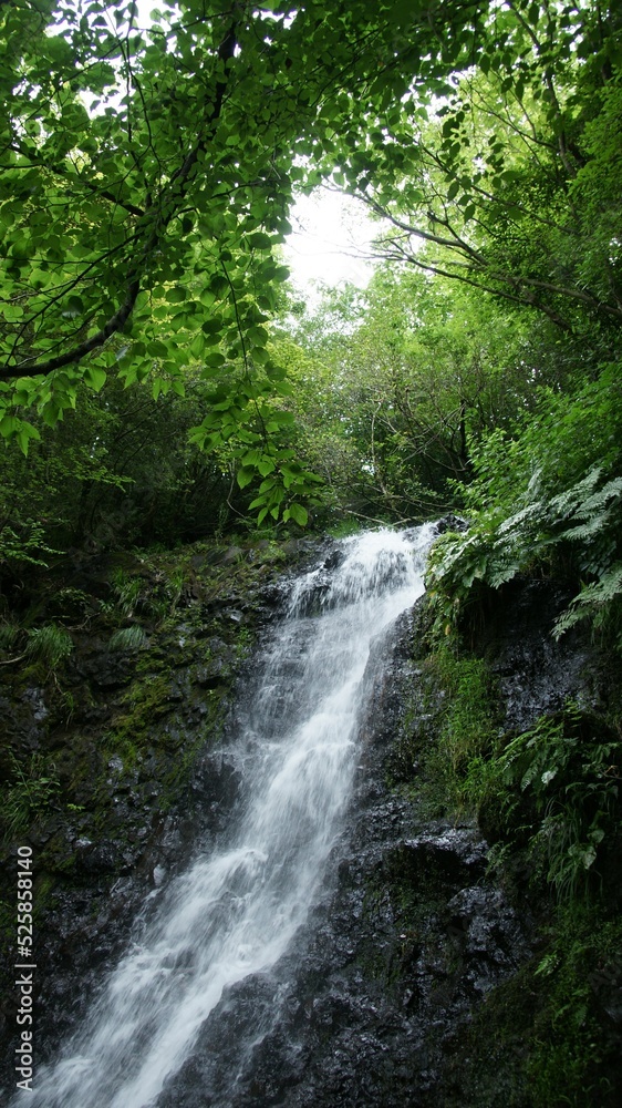 waterfall in the woods