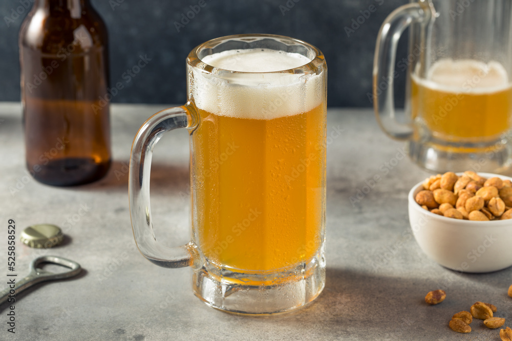 Boozy Refreshing Cold Craft Beer in a Mug