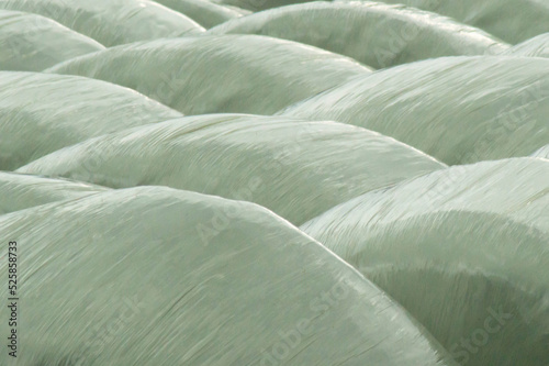 Background of plastic wrapped hay bales photo