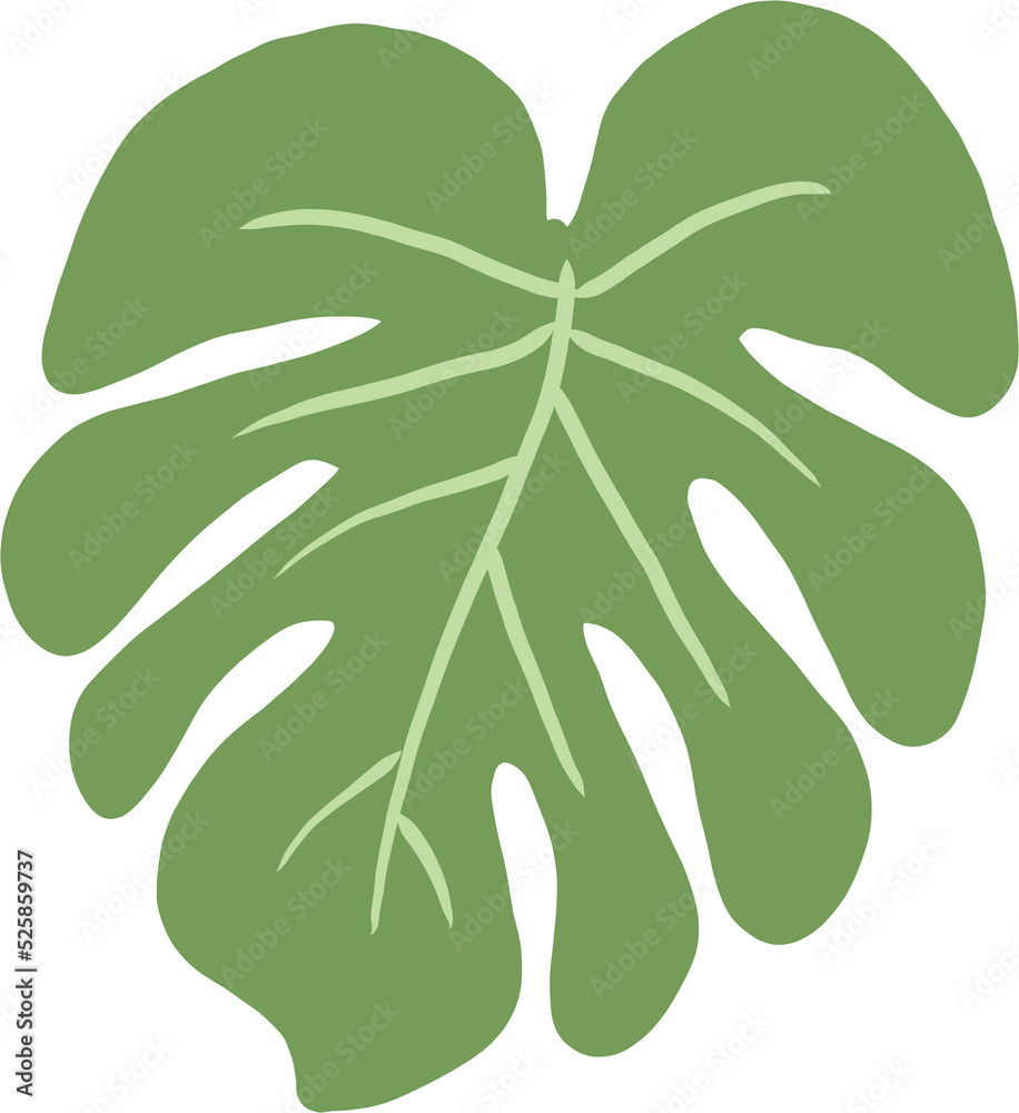 Simplicity monstera leaf freehand drawing flat design. Simplicity monstera leaf freehand drawing flat design.