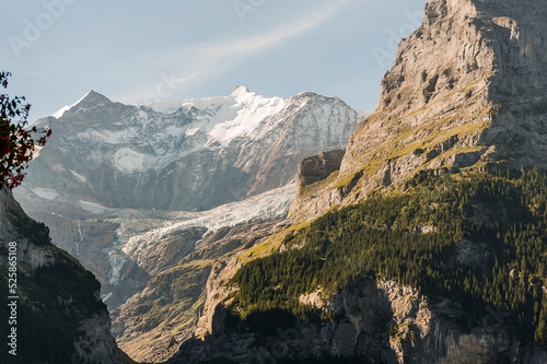 Grindelwald, Unterer Grindelwaldgletscher, Eiger, Eigernordwand, Schreckhorn, Alpen, Fiescherhörner, Finsteraarhorn, Berner Oberland, Bergdorf, Sommer, Schweiz