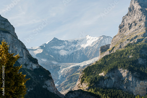 Grindelwald, Unterer Grindelwaldgletscher, Eiger, Eigernordwand, Schreckhorn, Alpen, Fiescherhörner, Finsteraarhorn, Berner Oberland, Bergdorf, Sommer, Schweiz
