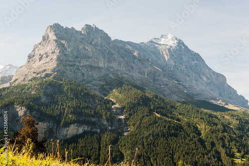 Grindelwald  Eiger  Eigernordwand  Alpen  Berner Oberland  Unterer Grindelwaldgletscher  Kleine Scheidegg  M  nnlichen  Lauberhorn  Wanderweg  Bergdorf  Bergwiese  Sommer  Schweiz