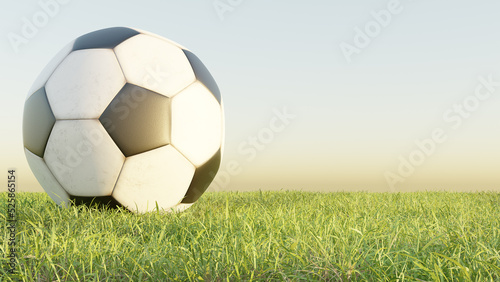 3D Soccer ball on the grass field isolated