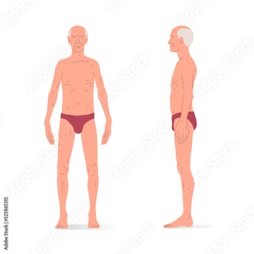 Old caucasian white man, full body of a man, front and side view. Isometric vector illustration.