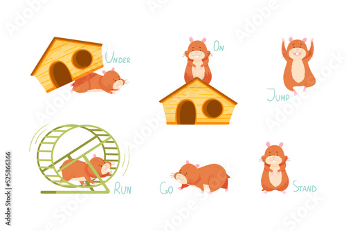 Furry Brown Hamster with Wooden House Demonstrating English Verb and Preposition Vector Set
