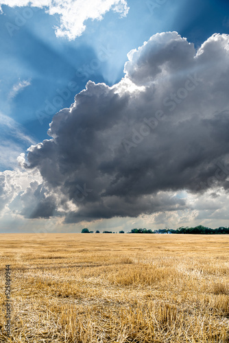 Foto Formation de cumulonimbus d'orage au dessus d'un champ