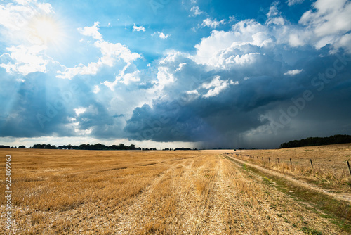 Formation de cumulonimbus d'orage au dessus d'un champ. Ciel très nuageux, arrivée de la pluie