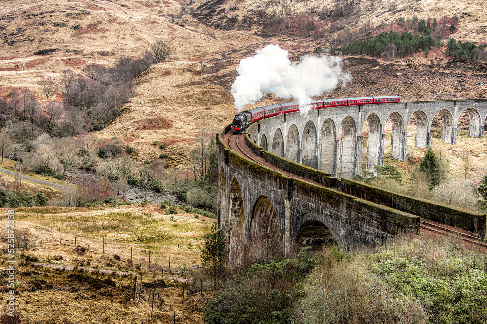 Fototapeta premium Viaduc de Glenfinnan et le Jacobite Steam Train plus connu sous le nom de Poudlard Express