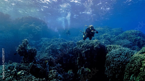 Fototapeta Naklejka Na Ścianę i Meble -  Scuba divers over a coral reef in rays of light