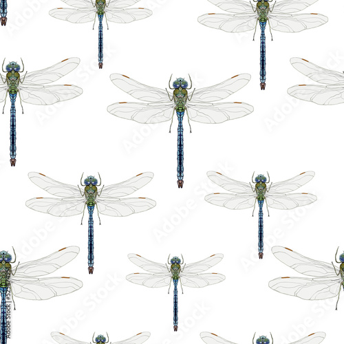 semless pattern with blue and green dragonfly © IgYar