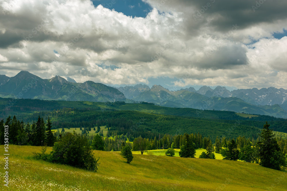 Tatras Mountains, green rolling hills of meadows and wild forest at summer