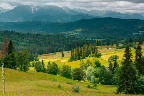 Countryside road in Tatras Mountains in Poland at summer