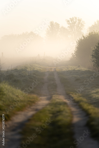 A foggy sunrise at a path in the countryside.