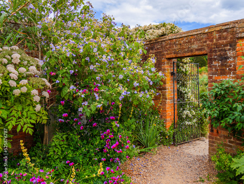 Valokuva walled garden england uk