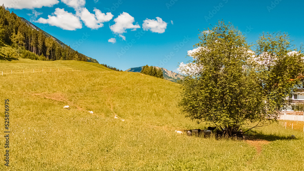 Fototapeta premium Beautiful alpine summer view at the famous Tannheimer Tal valley, Tannheim, Tyrol, Austria