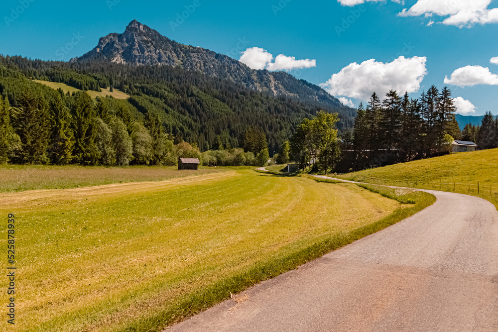 Beautiful alpine summer view near Zoeblen at the famous Tannheimer Tal valley, Tannheim, Tyrol, Austria