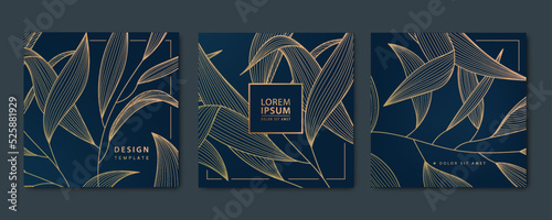 Vector set of abstract luxury golden square cards, post templates for social net, leaves botanical modern, art deco wallpaper background. Pattern, texture for print, fabric, packaging design