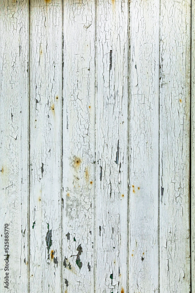Fototapeta premium Urban Paint Grunge Texture Background