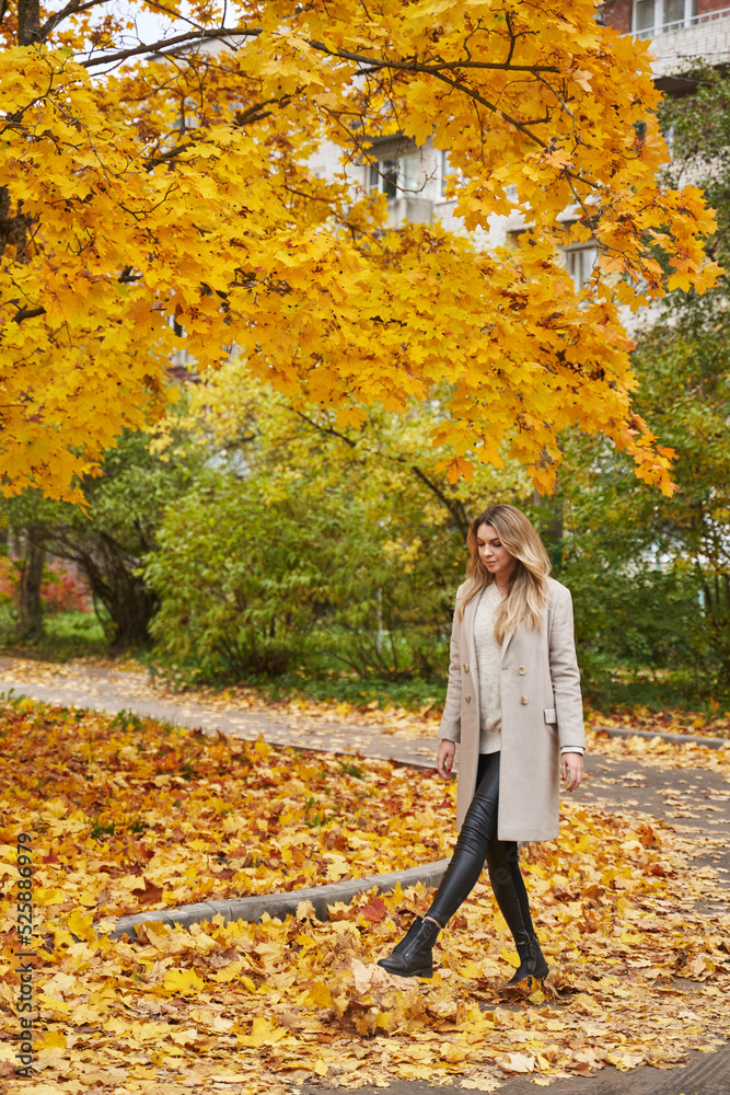 a beautiful woman walks and kicks the fallen leaves against the background of autumn trees in the park. beautiful autumn portrait against the background of fallen leaves a beautiful woman walks and kicks the fallen leaves against the background of autumn trees in the park. beautiful autumn portrait against the background of fallen leaves