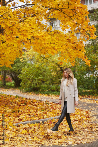 a beautiful woman walks and kicks the fallen leaves against the background of autumn trees in the park. beautiful autumn portrait against the background of fallen leaves