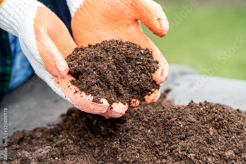 Hand holding peat moss organic matter improve soil for agriculture organic plant growing, ecology concept. photo