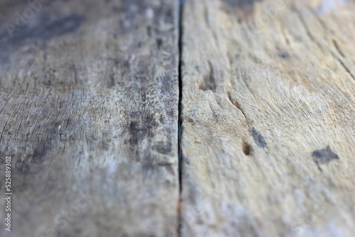 Close up old wood background texture