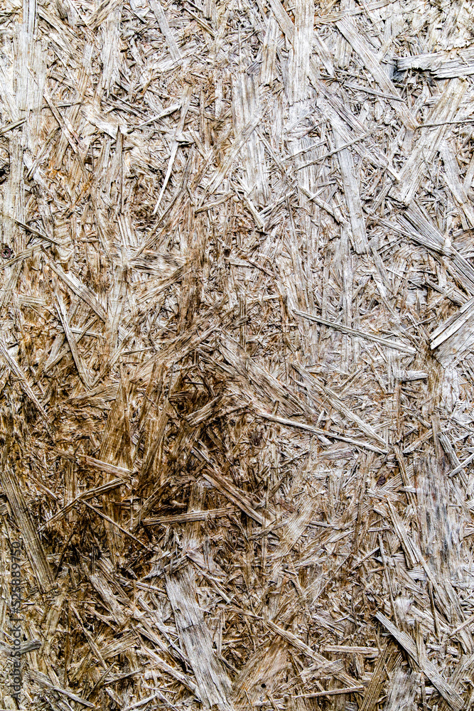 Urban Wood Grunge Texture Background
Urban Wood Grunge Texture Background